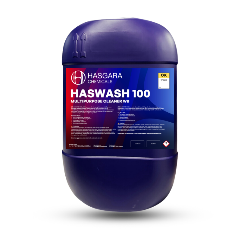 HASWASH 100 Multipurpose Cleaner WB
