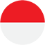 Flag indonesia